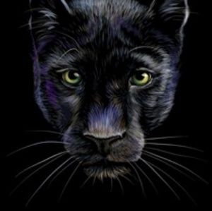 Meet your Posher, Rene